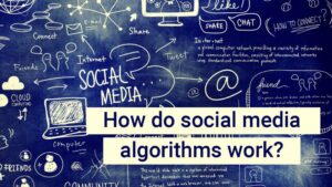 Social Media Algorithms