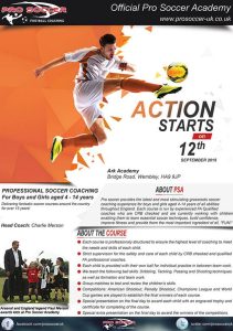 Pro Soccer Academy